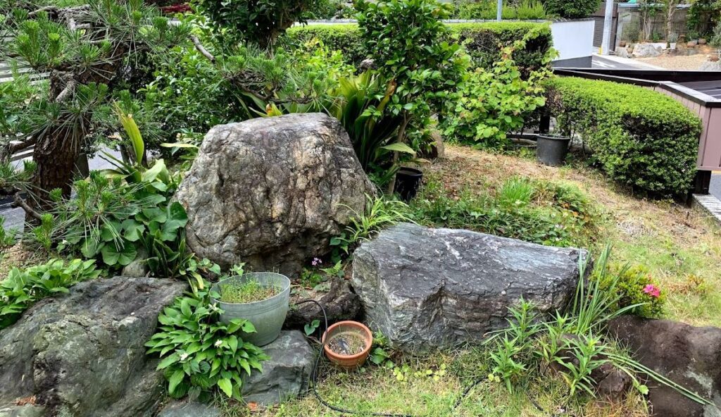 複雑な日本庭園でも見違えるほど綺麗にbefore