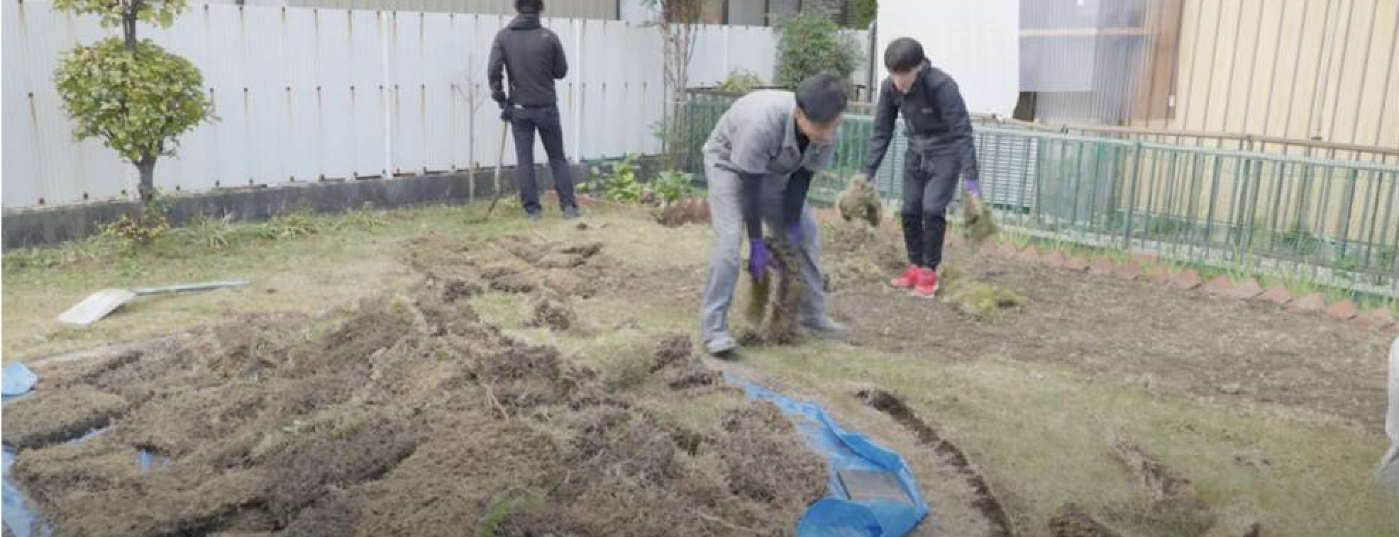 天然芝・雑草・石を根こそぎ撤去している様子