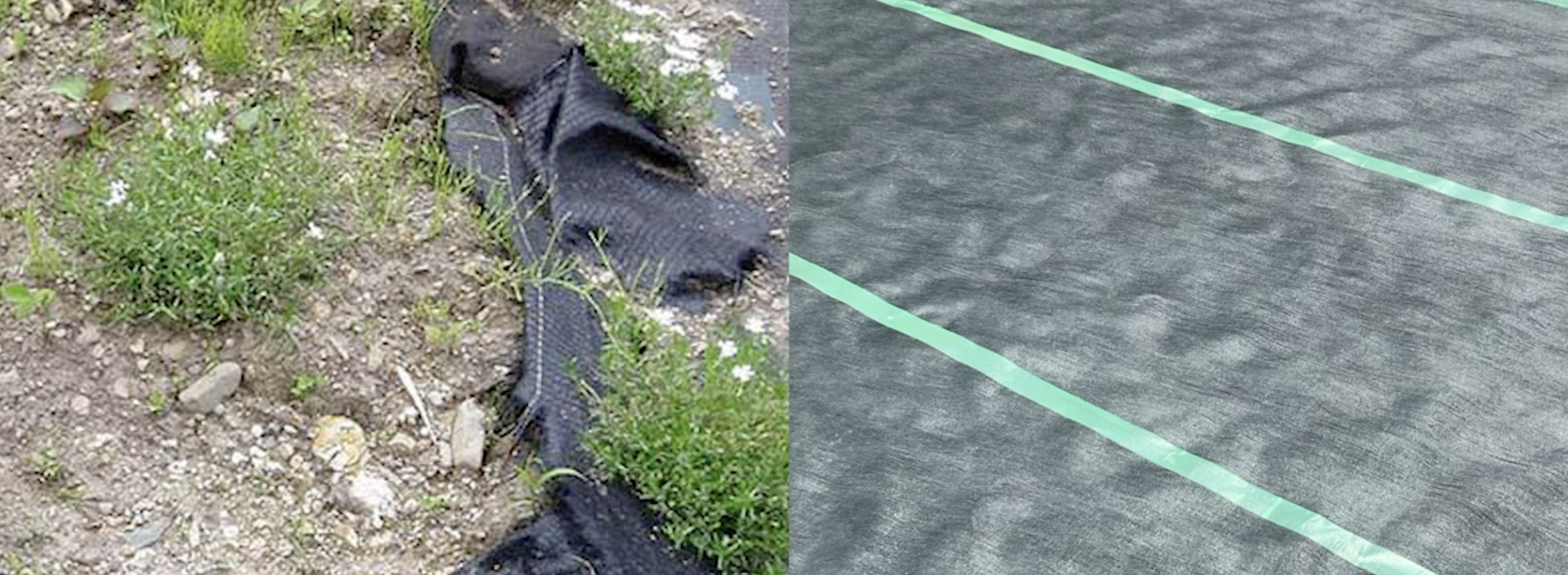 写真左：ビニールタイプ：写真右：不織布