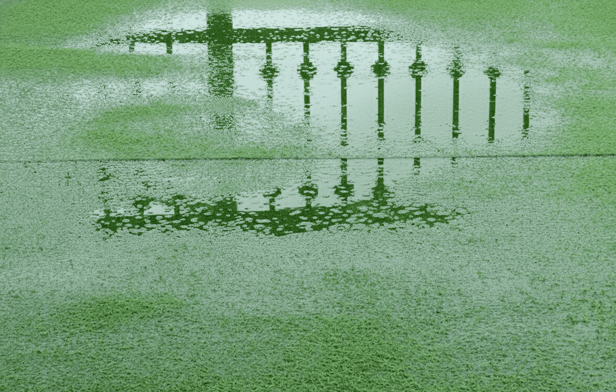 なぜ「水はけ」が重要なのか?放置すると起こる3つのリスク